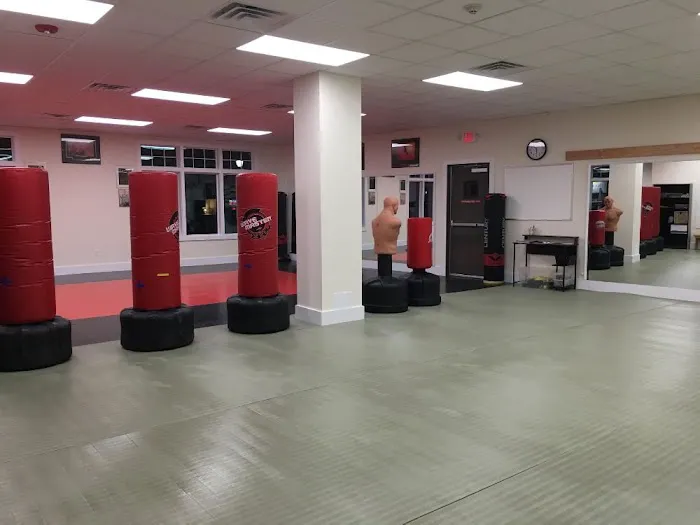 Faustini's Institute of Martial Arts and Fitness Picture 5