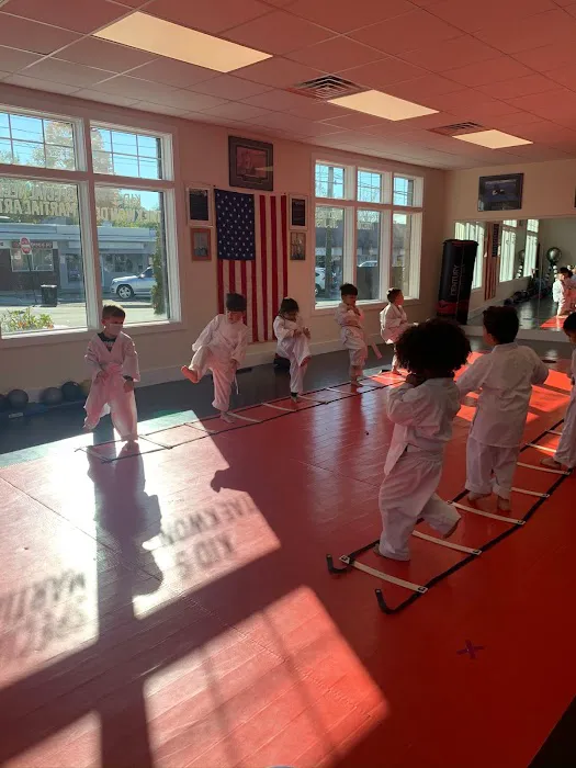 Faustini's Institute of Martial Arts and Fitness Picture 10