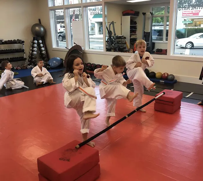 Faustini's Institute of Martial Arts and Fitness Picture 2