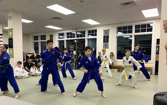 Faustini's Institute of Martial Arts and Fitness Picture 9
