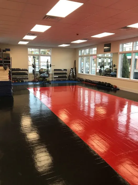 Faustini's Institute of Martial Arts and Fitness Picture 4