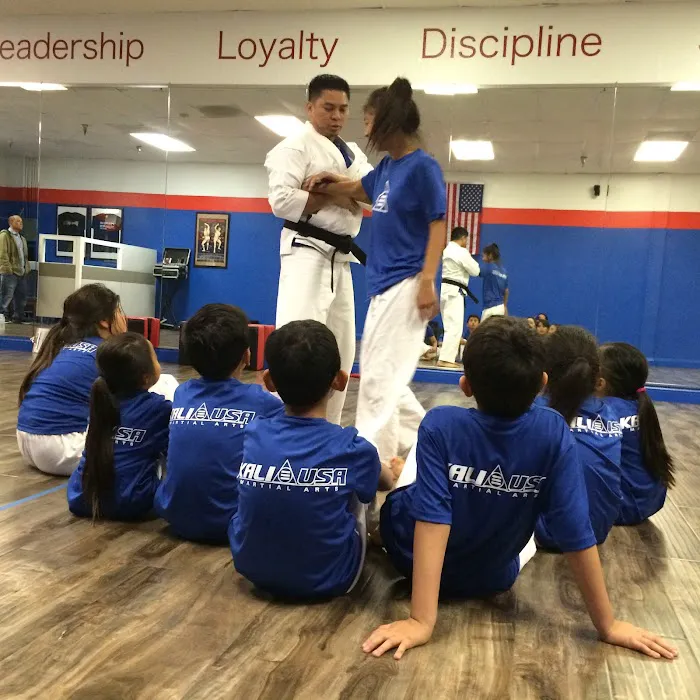 Kali USA Martial Arts School Picture 1