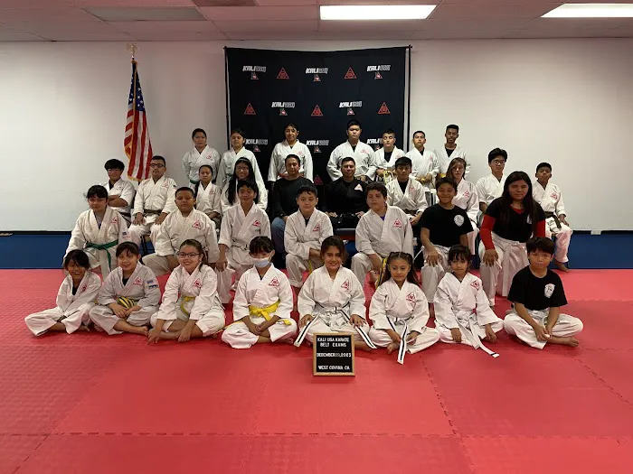 Kali USA Martial Arts School Picture 7