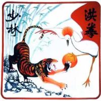 Chien Hong School of Kung Fu ico