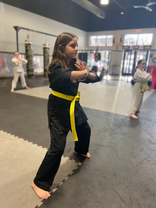 Legacy MMA Karate Picture 6