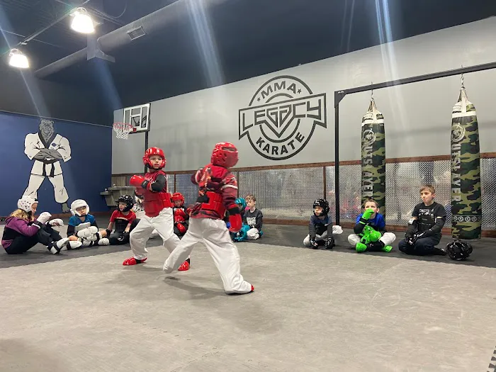Legacy MMA Karate Picture 3