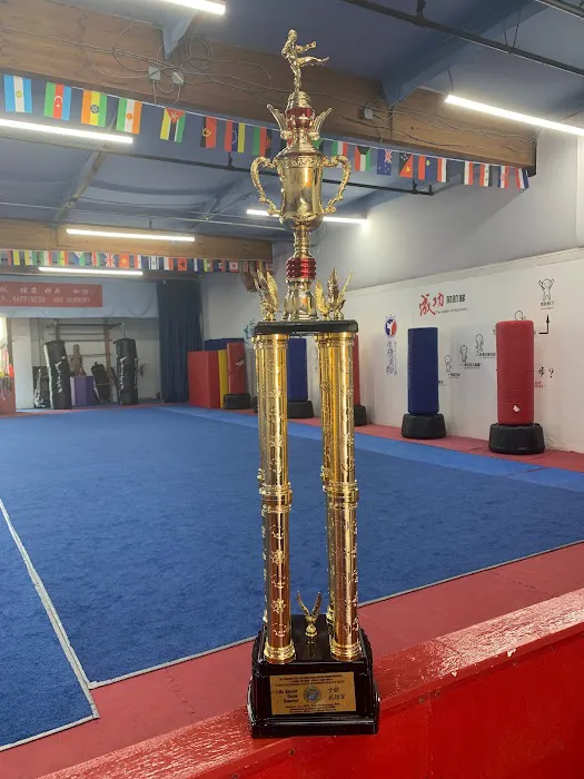 Evergreen Wushu Picture 2