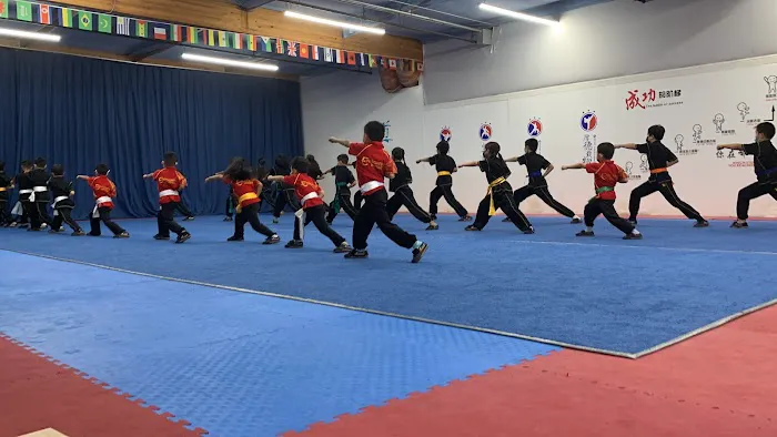 Evergreen Wushu Picture 8