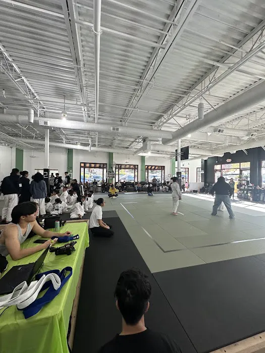 Kensei Judo Picture 1