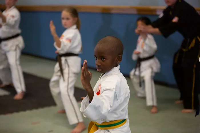 South Colorado Springs National Karate Picture 4