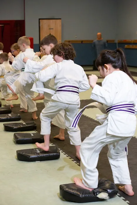 South Colorado Springs National Karate Picture 3
