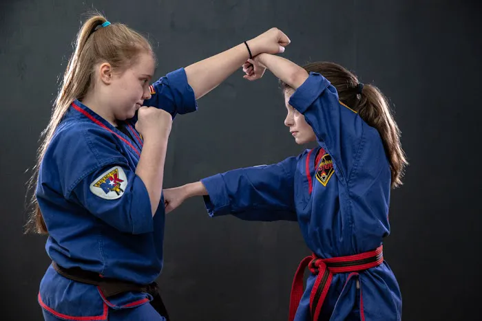 South Colorado Springs National Karate Picture 8