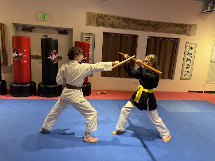 United States Karate Academy Picture 5