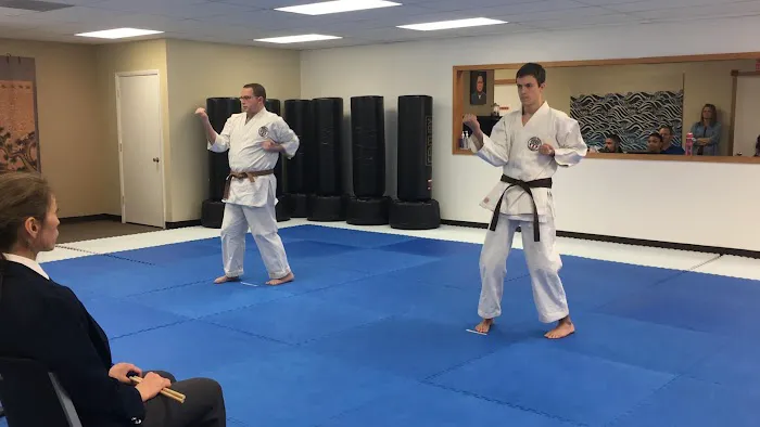United States Karate Academy Picture 1