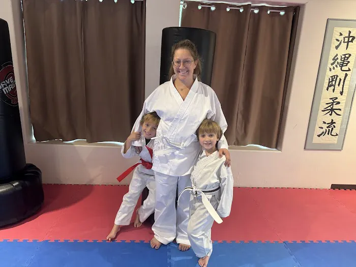 United States Karate Academy Picture 4