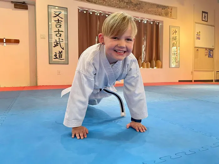 United States Karate Academy Picture 7