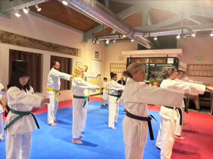 United States Karate Academy Picture 8