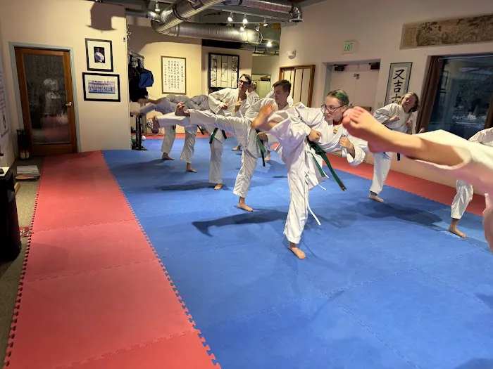 United States Karate Academy Picture 6