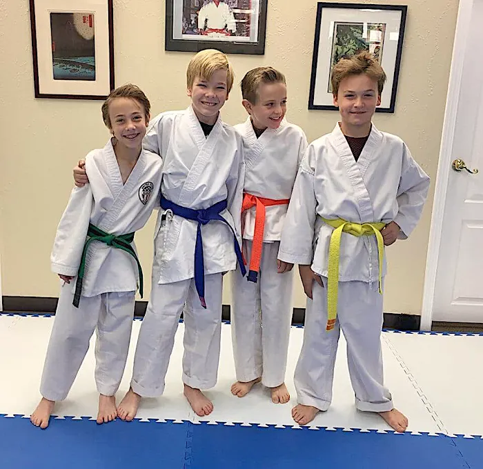 United States Karate Academy Picture 9