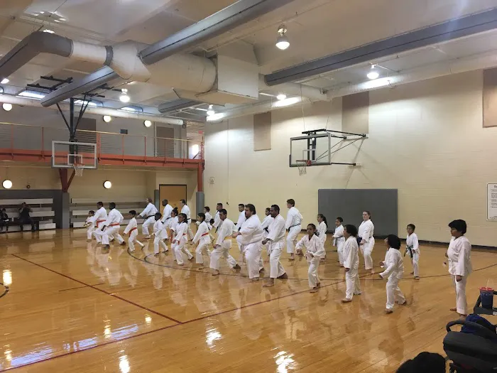 Traditional Karate Nashville Picture 2