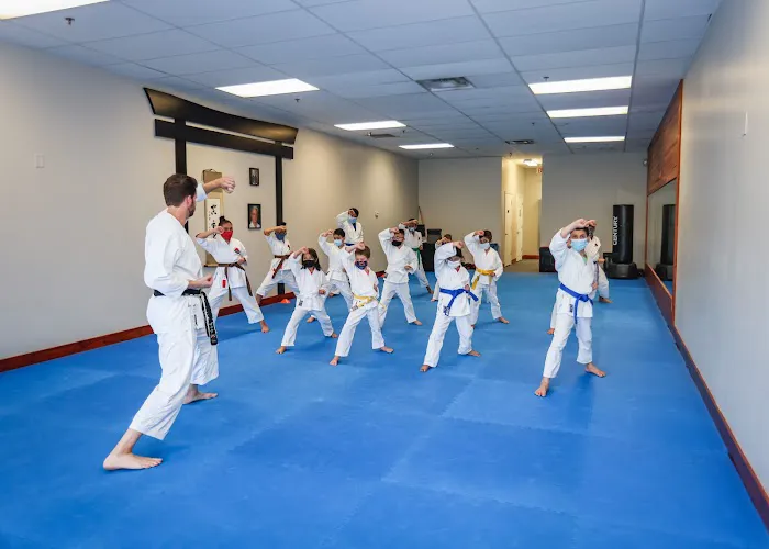 Traditional Karate Nashville Picture 1