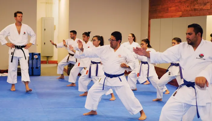 Traditional Karate Nashville Picture 4