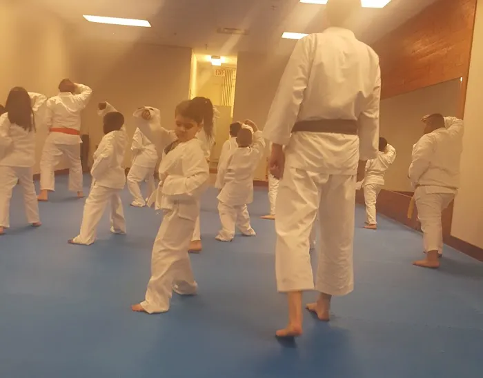 Traditional Karate Nashville Picture 3
