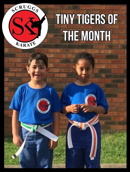 Scruggs Karate Studio Picture 9