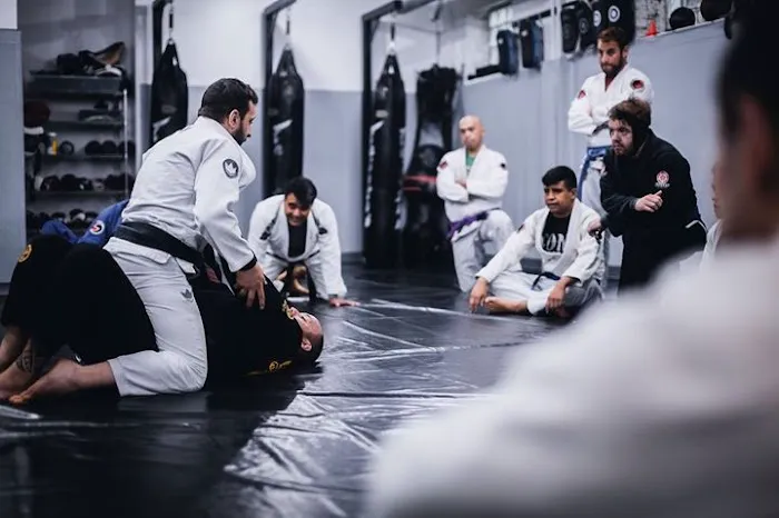 Chicago Mixed Martial Arts Picture 3