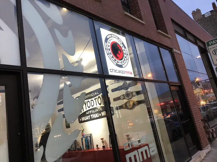 Chicago Mixed Martial Arts Picture 10