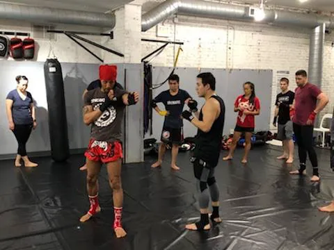 Chicago Mixed Martial Arts Picture 1
