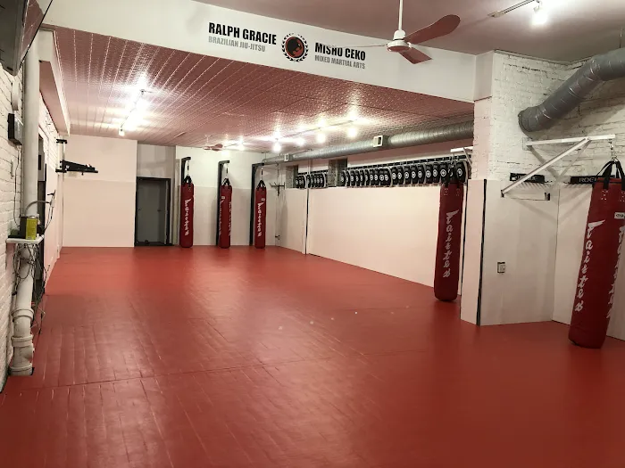 Chicago Mixed Martial Arts Picture 6