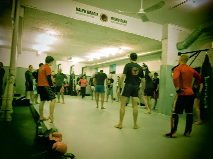 Chicago Mixed Martial Arts Picture 2
