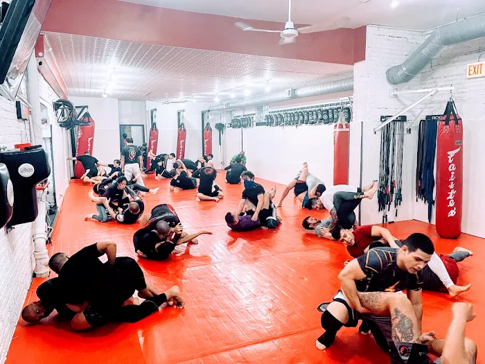 Chicago Mixed Martial Arts Picture 7