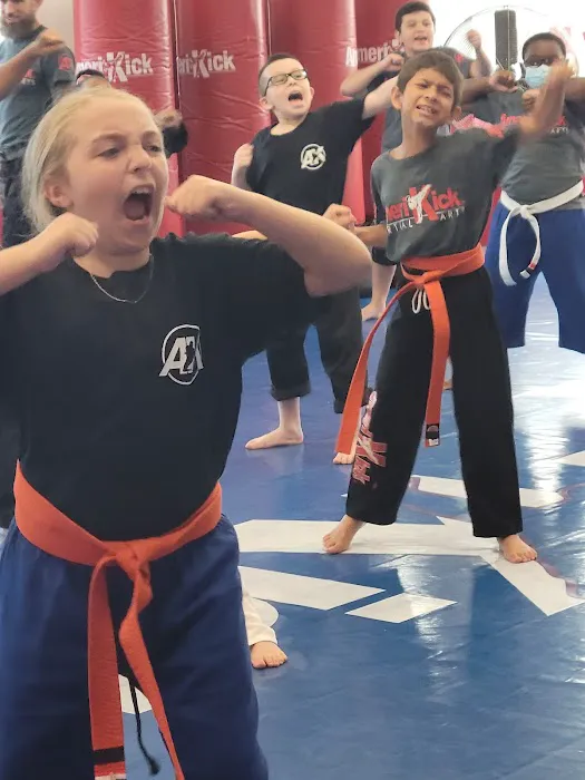 Amerikick Martial Arts (NE Philly) Picture 8