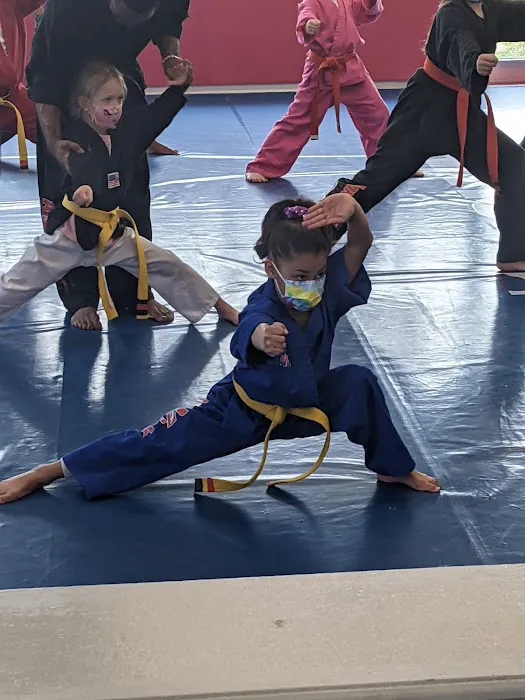Amerikick Martial Arts (NE Philly) Picture 4