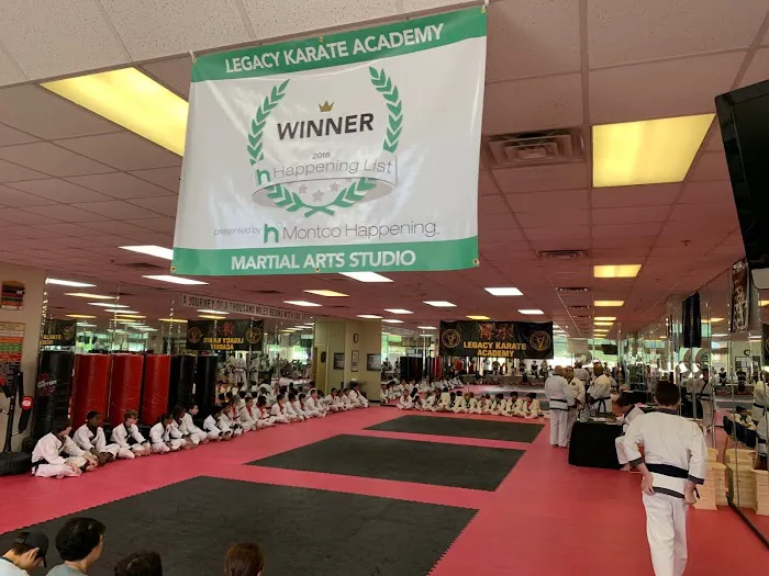Legacy Karate Academy Picture 3