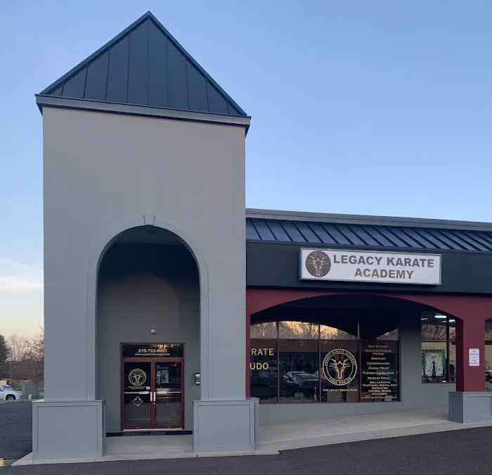 Legacy Karate Academy Picture 7