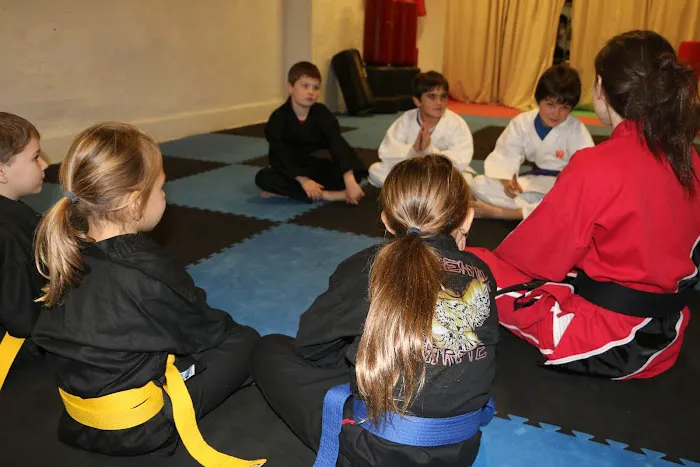 Phoenix Karate Picture 3