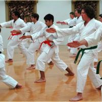 Western Washington Shotokan Karate Group ico