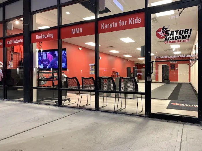 Satori Academy of Martial Arts Picture 1