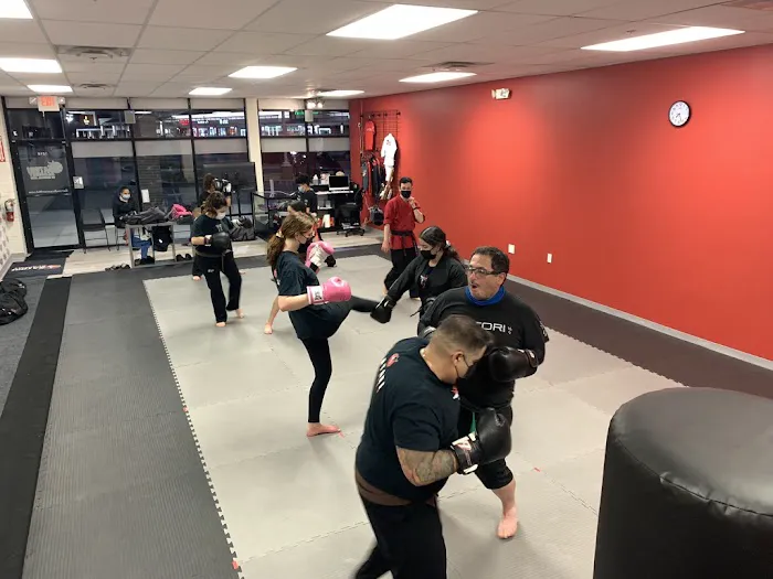 Satori Academy of Martial Arts Picture 7