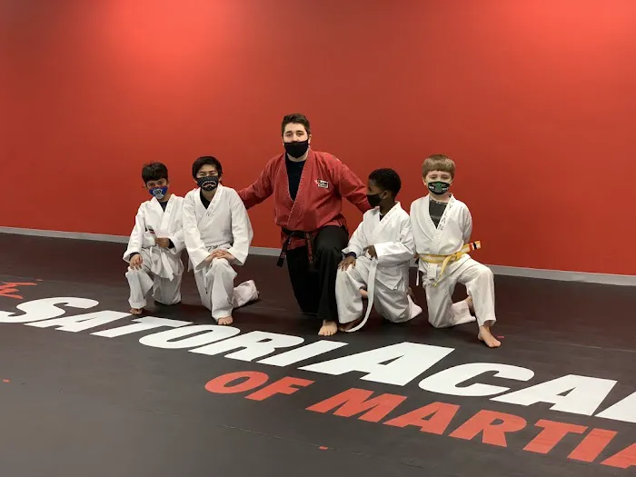 Satori Academy of Martial Arts Picture 8