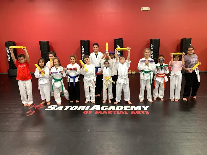 Satori Academy of Martial Arts Picture 3