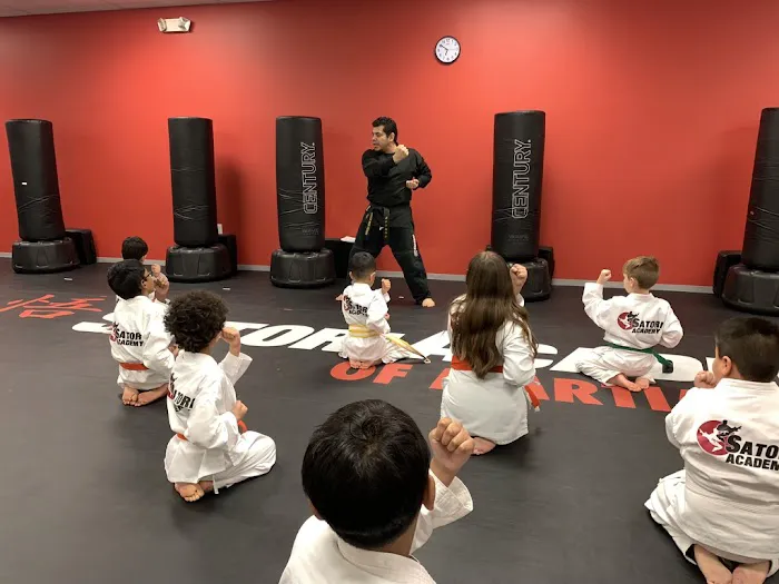 Satori Academy of Martial Arts Picture 2