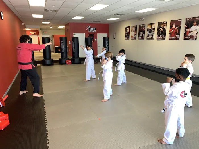 Satori Academy of Martial Arts Picture 6