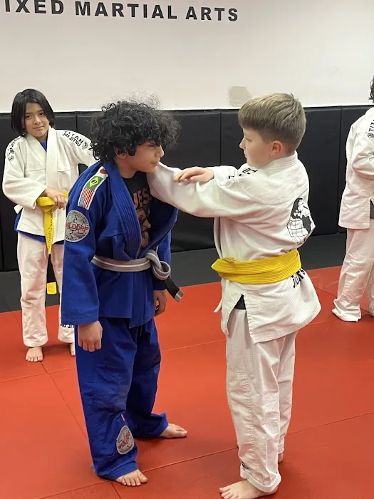 Titan Mixed Martial Arts Picture 1