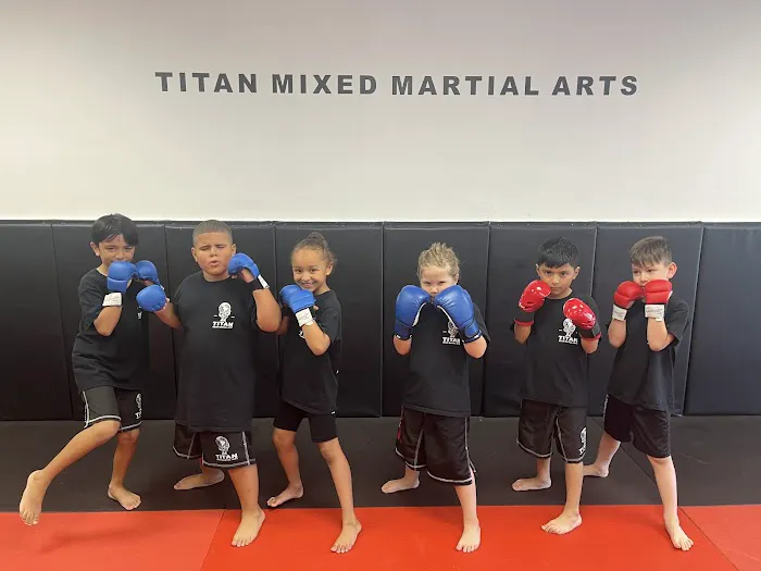 Titan Mixed Martial Arts Picture 8