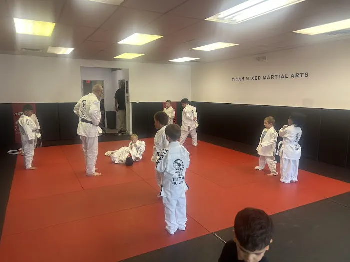 Titan Mixed Martial Arts Picture 5