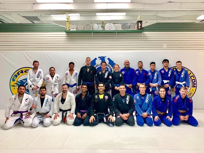 Brasa Comprido BJJ (Brazilian Jiu Jitsu) Picture 9
